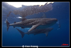 2 against 1 by Ken Keong 